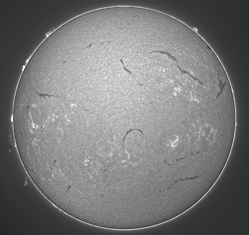 - 2026-09-02-0808_2-U-G-Sun_Halpha_ZWO ASI585MM_Gain=172_Exposure=6.5ms_Gamma=50_1_Surface_20_Sharp22_B1.0_C1.0_S1_N1.png