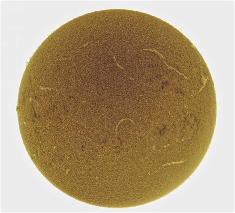 - 2026-09-02-0814_4-U-G-Sun_Halpha_ZWO ASI585MM_Gain=172_Exposure=6.5ms_Gamma=30_4_Surface_20_Sharp20_B29.0_C0.3_S1_N1_SUN_INV.png
