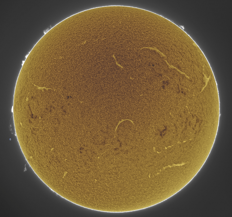 -- 2026-09-02-0814_4-U-G-Sun_Halpha_ZWO ASI585MM_Gain=172_Exposure=6.5ms_Gamma=30_4_Surface_20_Sharp20_B29.0_C0.3_S1_N1_SUN_INV.png