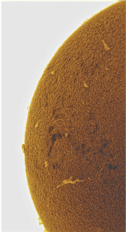 2026-09-02-0819_3-U-G-Sun_Halpha_ZWO ASI585MM_Gain=194_Exposure=6.5ms_Gamma=50_7_Surface_20_Sharp33_B88.0_C0.3_S1_N1_SUN_INV-03.png