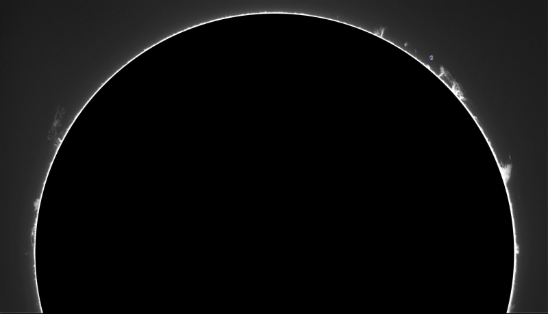 - 2026-09-03-0823_0-U-G-Sun_Halpha_ZWO ASI585MM_Gain=194_Exposure=18.5ms_Gamma=71_5_Surface_20_Sharp22_B1.0_C1.3_S1_N1-PROTUS.png