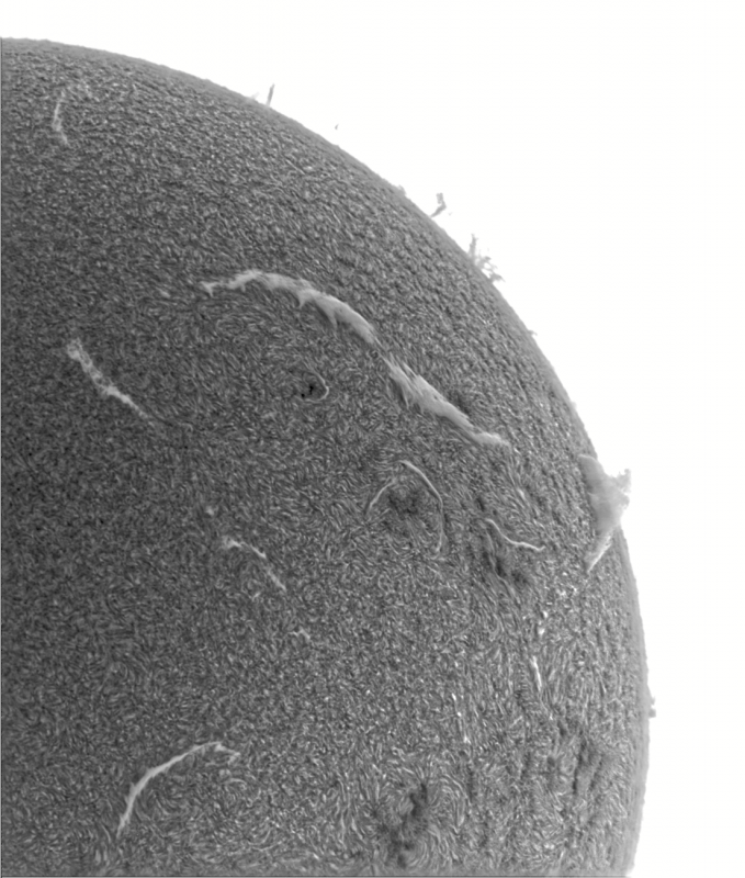 - 2026-09-03-0821_1-U-G-Sun_Halpha_ZWO ASI585MM_Gain=181_Exposure=6.5ms_Gamma=50_3_Surface_20_Sharp20_B16.0_C1.1_S1_N1_INV.png
