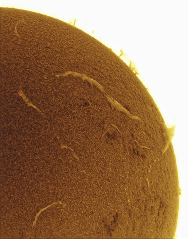 - 2026-09-03-0821_1-U-G-Sun_Halpha_ZWO ASI585MM_Gain=181_Exposure=6.5ms_Gamma=50_3_Surface_20_Sharp20_B35.0_C0.6_S1_N1_SUN_INV.png