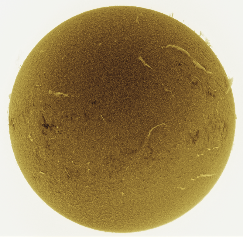 --- 2026-09-03-0839_4-U-G-Sun_Halpha_ZWO ASI585MM_Gain=194_Exposure=6.5ms_Gamma=30_9_Surface_20_Sharp23_B0.0_C0.4_S1_N1_SUN_INV.png