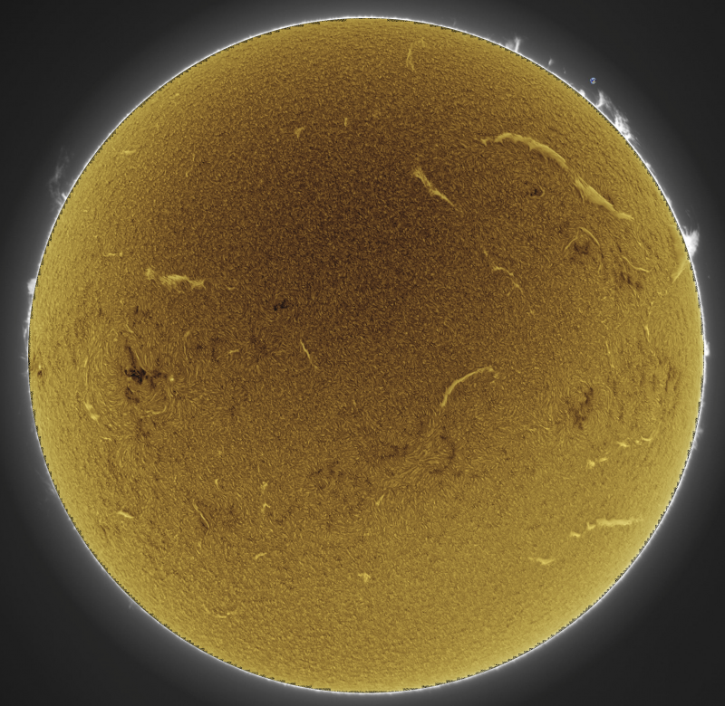 --- 2026-09-03-0839_4-U-G-Sun_Halpha_ZWO ASI585MM_Gain=194_Exposure=6.5ms_Gamma=30_9_Surface_20_Sharp23_B0.0_C0.4_S1_N1_SUN_INV-4.png