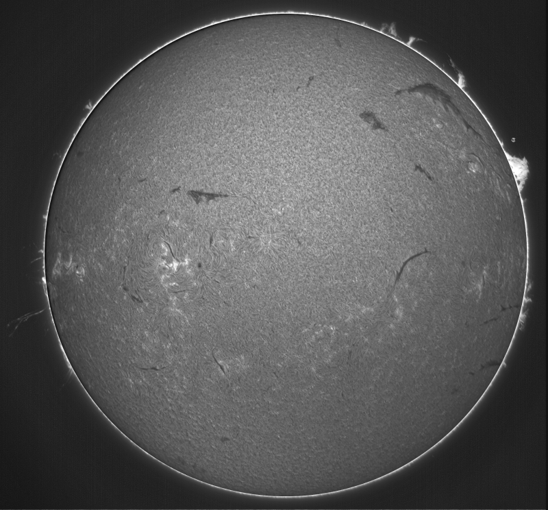 - Fusion02 - 2026-09-04-0849_0-U-G-Sun_Halpha_ZWO ASI585MM_Gain=159_Exposure=6.5ms_Gamma=51_42_Surface_20_Sharp20_B13.0_C0.2_S1_N1_SUN.png