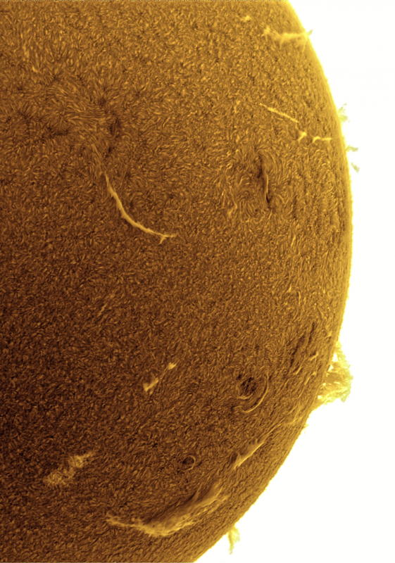 2026-09-04-0754_2-U-G-Sun_Halpha_ZWO ASI585MM_Gain=175_Exposure=6.5ms_Gamma=50_8_Surface_20_Sharp24_B59.0_C1.3_S1_N1_SUN_INV.png