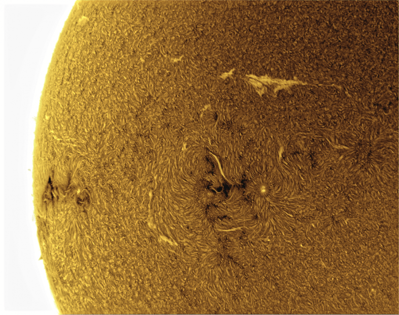 2026-09-04-0807_7-U-G-Sun_Halpha_ZWO ASI585MM_Gain=175_Exposure=6.5ms_Gamma=39_18_Surface_20_Sharp20_B55.0_C0.7_S1_N1_SUN_INV.png