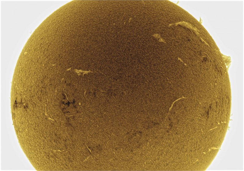 2026-09-04-0809_6-U-G-Sun_Halpha_ZWO ASI585MM_Gain=175_Exposure=6.5ms_Gamma=39_20_Surface_20_Sharp20_B37.0_C0.2_S1_N1_SUN_INV.png