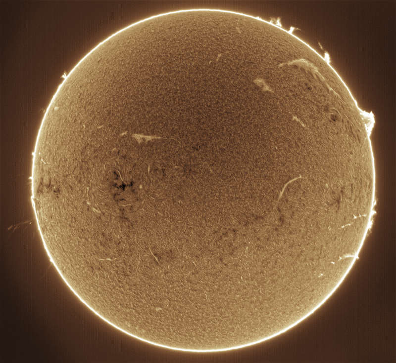 2026-09-04-0849_0-U-G-Sun_Halpha_ZWO ASI585MM_Gain=159_Exposure=6.5ms_Gamma=51_42_Surface_20.fit-ImPPG.01-Affinity.02.png
