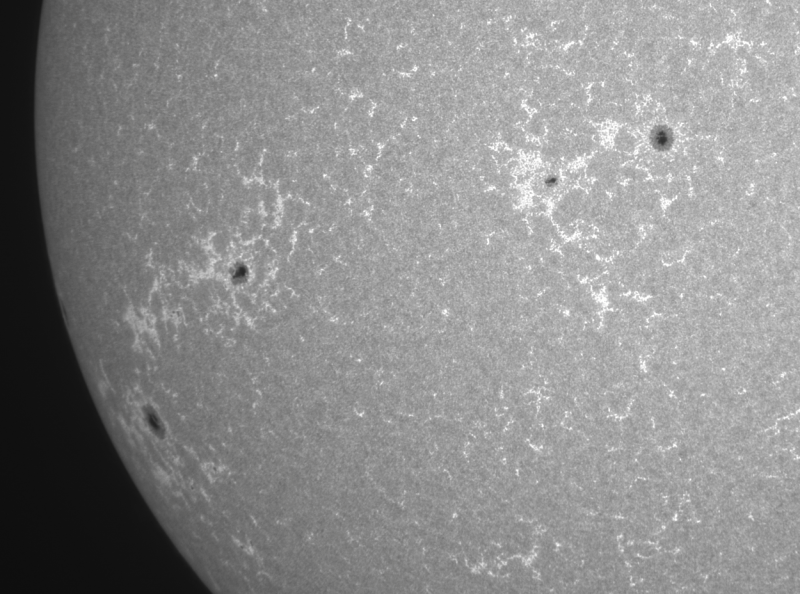 Cak06-2026-09-05-0815_1-U-G-Sun_CaK_ZWO ASI183MM_Gain=64_Exposure=.0ms_Gamma=19(off)_1_Surface_20_Sharp20_B1.0_C1.0_S1_N1.png