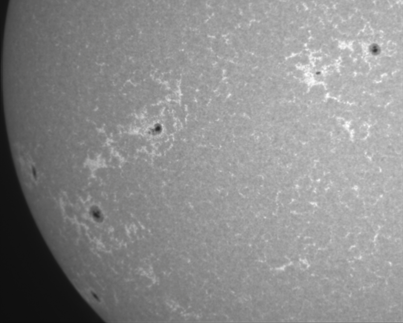 Cak03 - 2026-09-06-0743_4-U-G-Sun_CaK_ZWO ASI183MM_Gain=48_Exposure=.1ms_Gamma=19(off)_1_Surface_20_Sharp20_B1.0_C1.0_S1_N1.png