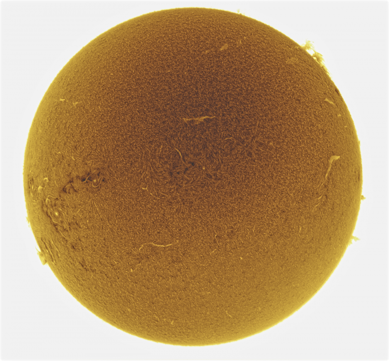 - 07 - 2026-09-06-0815_2-U-G-Sun_Halpha_ZWO ASI585MM_Gain=169_Exposure=6.5ms_Gamma=49_14_Surface_20_Sharp26_B1.0_C1.0_S1_N1.png