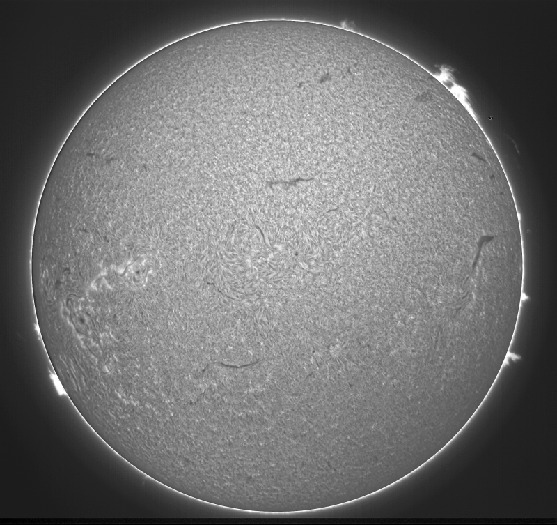 - 06 - 2026-09-06-0815_2-U-G-Sun_Halpha_ZWO ASI585MM_Gain=169_Exposure=6.5ms_Gamma=49_14_Surface_20_Sharp26_B1.0_C1.0_S1_N1.png