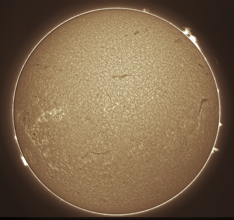 - 05 - 2026-09-06-0815_2-U-G-Sun_Halpha_ZWO ASI585MM_Gain=169_Exposure=6.5ms_Gamma=49_14_Surface_20_Sharp26_B1.0_C1.0_S1_N1.png