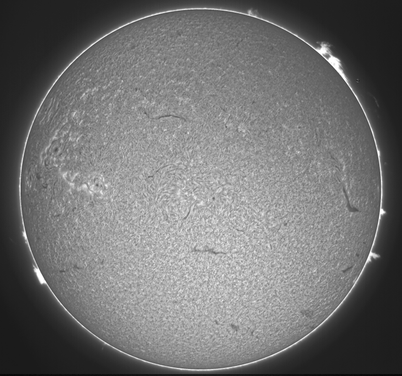 - 03 - 2026-09-06-0815_2-U-G-Sun_Halpha_ZWO ASI585MM_Gain=169_Exposure=6.5ms_Gamma=49_14_Surface_20_Sharp26_B1.0_C1.0_S1_N1.png