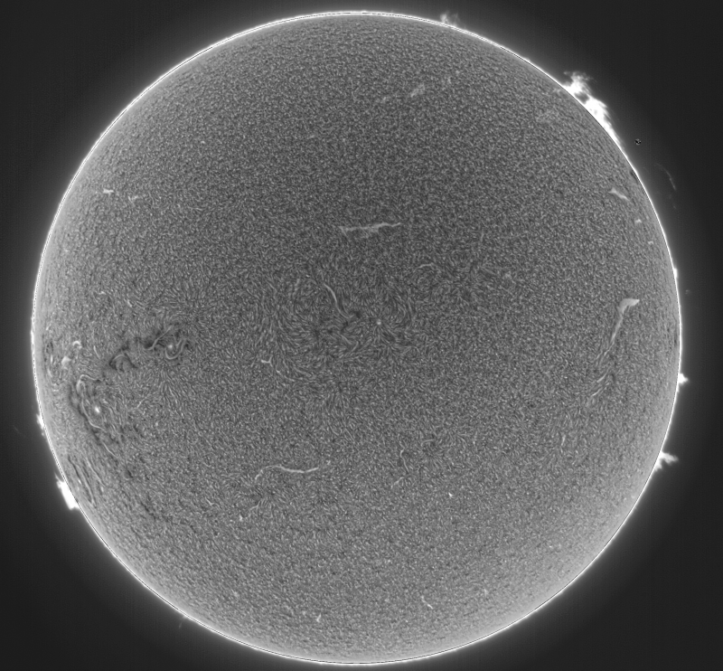 --- 2026-09-06-0747_5-U-G-Sun_Halpha_ZWO ASI585MM_Gain=169_Exposure=6.5ms_Gamma=50_1_Surface_20_Sharp24_B47.0_C0.1_S1_N1_SUN_INV.png