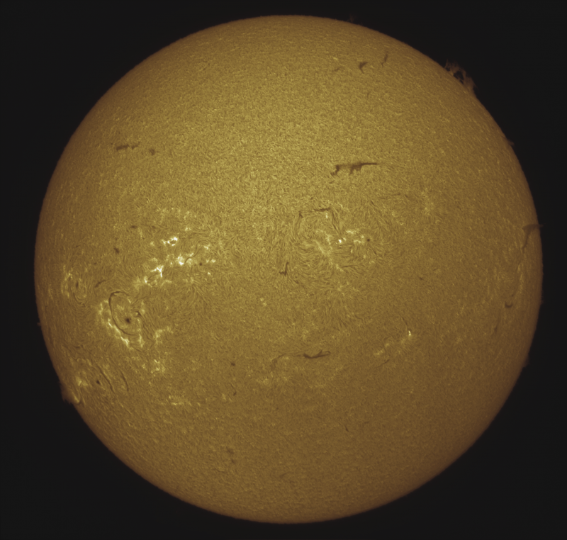 - 03 - 2026-09-07-1136_7-U-G-Sun_Halpha_ZWO ASI585MM_Gain=188_Exposure=6.5ms_Gamma=50_46_Surface_20_Sharp20_B1.0_C1.3_S1_N1.png