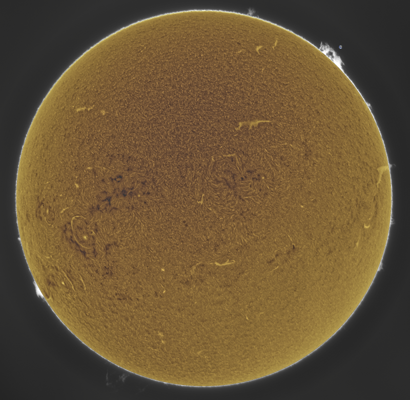 03-2026-09-07-1136_7-U-G-Sun_Halpha_ZWO ASI585MM_Gain=188_Exposure=6.5ms_Gamma=50_46_Surface_20_Sharp20_B47.0_C0.2_S1_N1_SUN_INV.png