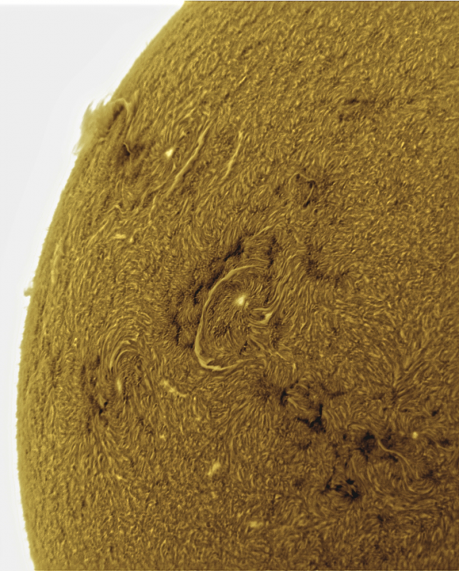 -03-- 2026-09-07-1131_2-U-G-Sun_Halpha_ZWO ASI585MM_Gain=188_Exposure=6.5ms_Gamma=31_42_Surface_20_Sharp30_B1.0_C0.3_S1_N1_SUN_INV.png