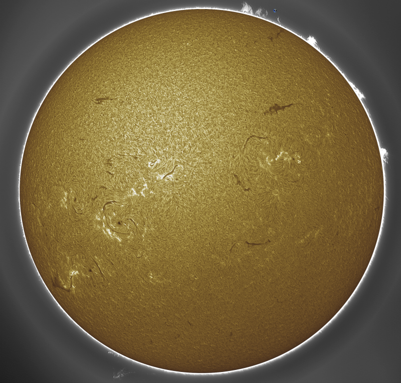 (2) 2026-09-08-1021_9-U-G-Sun_Halpha_ZWO ASI585MM_Gain=169_Exposure=6.5ms_Gamma=50_21_Surface_20_Sharp27_B0.0_C0.1_S1_N1_SUN.png