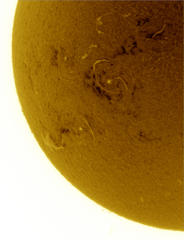 2026-09-08-0856_2-U-G-Sun_Halpha_ZWO ASI585MM_Gain=184_Exposure=4.8ms_Gamma=50_7_Surface_20_Sharp20_B1.0_C1.2_S1_N1_SUN_INV.png