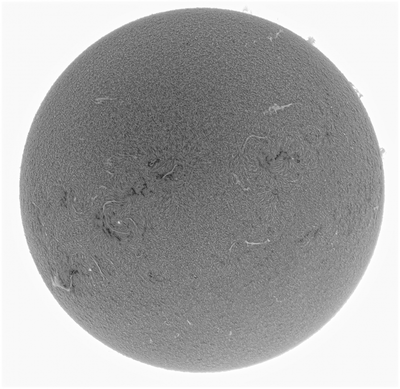 2026-09-08-1021_9-U-G-Sun_Halpha_ZWO ASI585MM_Gain=169_Exposure=6.5ms_Gamma=50_21_Surface_20_Sharp27_B13.0_C0.7_S1_N1_INV.png
