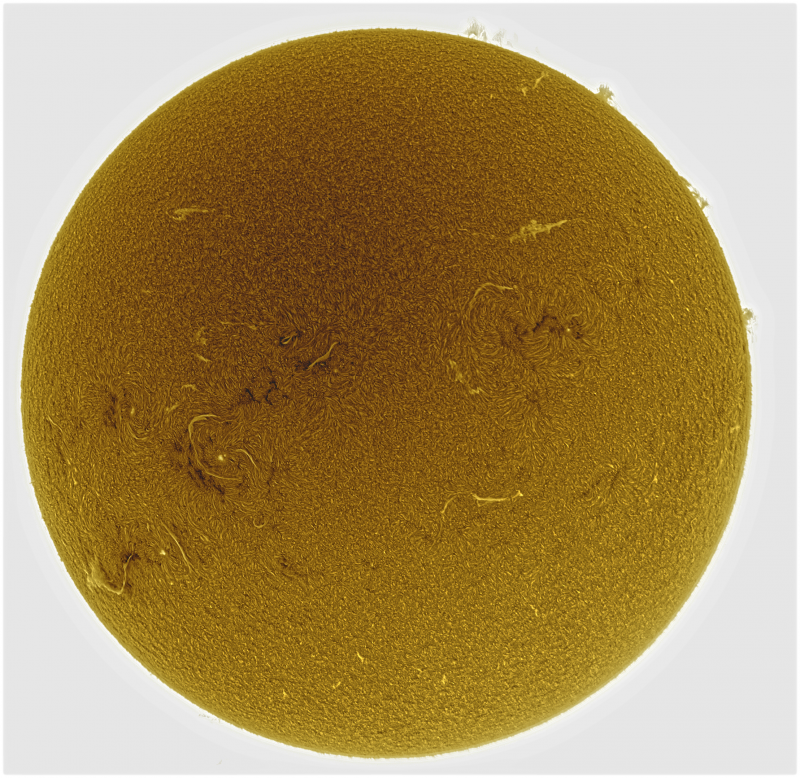 2026-09-08-1030_9-U-G-Sun_Halpha_ZWO ASI585MM_Gain=169_Exposure=6.5ms_Gamma=29_27_Surface_20_Sharp33_B0.0_C0.4_S1_N1_SUN_INV.png
