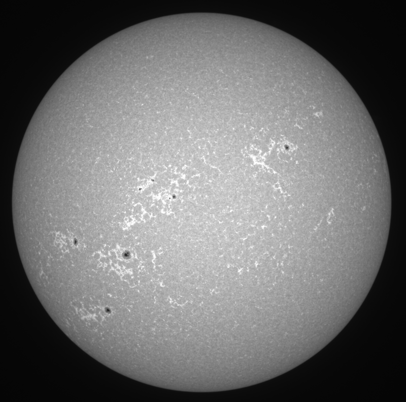 2026-09-08-1052_5-U-G-Sun_CaK_ZWO ASI183MM_Gain=11_Exposure=.1ms_Gamma=19(off)_9_Surface_20_Sharp20_B1.0_C1.0_S1_N1.png