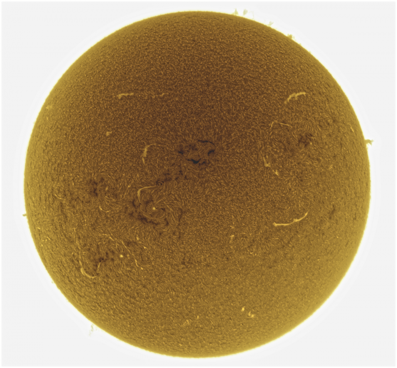 --- 2026-09-09-0949_0-U-G-Sun_Halpha_ZWO ASI585MM_Gain=159_Exposure=6.5ms_Gamma=50_7_Surface_20_Sharp20_B31.0_C0.3_S1_N1_SUN_INV.png