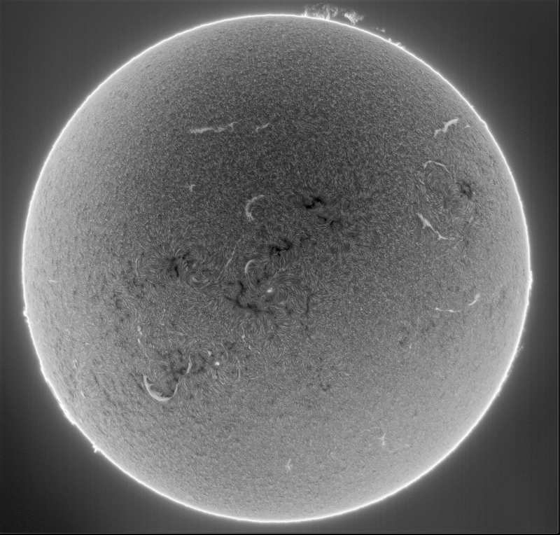 -- 2026-09-10-0934_8-U-G-Sun_Halpha_ZWO ASI585MM_Gain=163_Exposure=6.5ms_Gamma=79_1_Surface_20.fit-ImPPG.01 - Copie.png