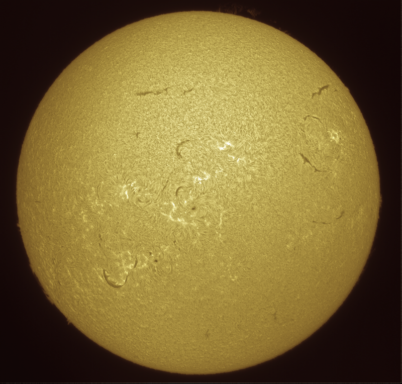- 2026-09-10-0934_8-U-G-Sun_Halpha_ZWO ASI585MM_Gain=163_Exposure=6.5ms_Gamma=79_1_Surface_20_Sharp20_B0.0_C1.1_S1_N1_SUN - Copie.png