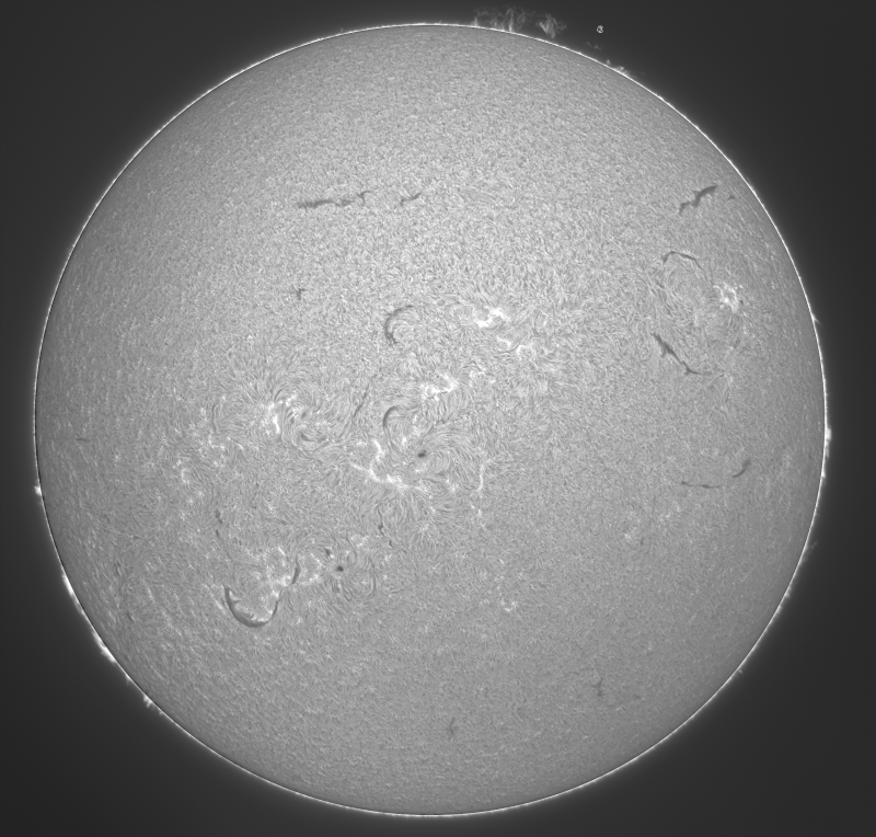 FUSION02 - - 2026-09-10-0934_8-U-G-Sun_Halpha_ZWO ASI585MM_Gain=163_Exposure=6.5ms_Gamma=79_1_Surface_20_Sharp20_B0.0_C1.1_S1_N1_SUN - Copie.png