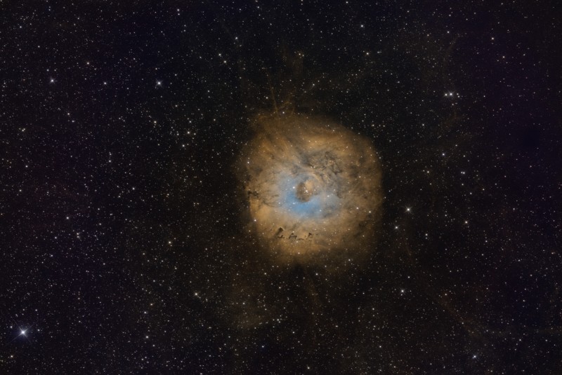 SH2-170_SHO-0070.jpg
