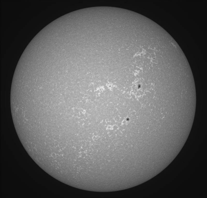 2026-09-12-0903_8-U-G-Sun_CaK_ZWO ASI183MM_Gain=11_Exposure=.1ms_Gamma=19(off)_1_Surface_20_Sharp20_B1.0_C1.0_S1_N1.png