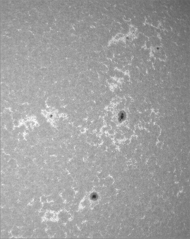 2026-09-12-0905_8-U-G-Sun_CaK_ZWO ASI183MM_Gain=11_Exposure=.1ms_Gamma=19(off)_2_Surface_20_Sharp20_B1.0_C1.0_S1_N1.png