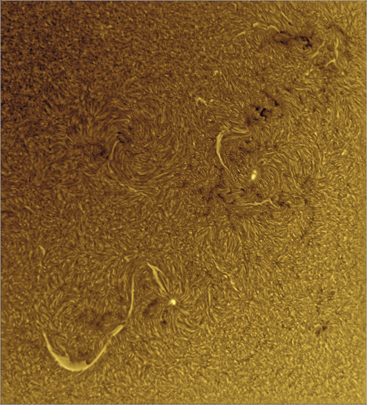 2026-09-12-0918_0-U-G-Sun_Halpha_ZWO ASI585MM_Gain=163_Exposure=6.5ms_Gamma=29_9_Surface_20_Sharp50_B1.0_C1.0_S1_N1_SUN_INV.png