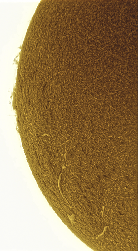2026-09-12-0919_7-U-G-Sun_Halpha_ZWO ASI585MM_Gain=163_Exposure=6.5ms_Gamma=48_10_Surface_20_Sharp34_B6.0_C0.7_S1_N1_SUN_INV.png