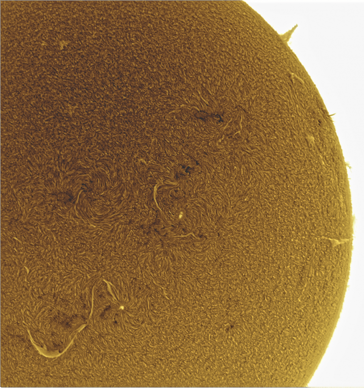 2026-09-12-0921_2-U-G-Sun_Halpha_ZWO ASI585MM_Gain=163_Exposure=6.5ms_Gamma=48_12_Surface_20_Sharp51_B38.0_C0.3_S1_N1_SUN_INV.png