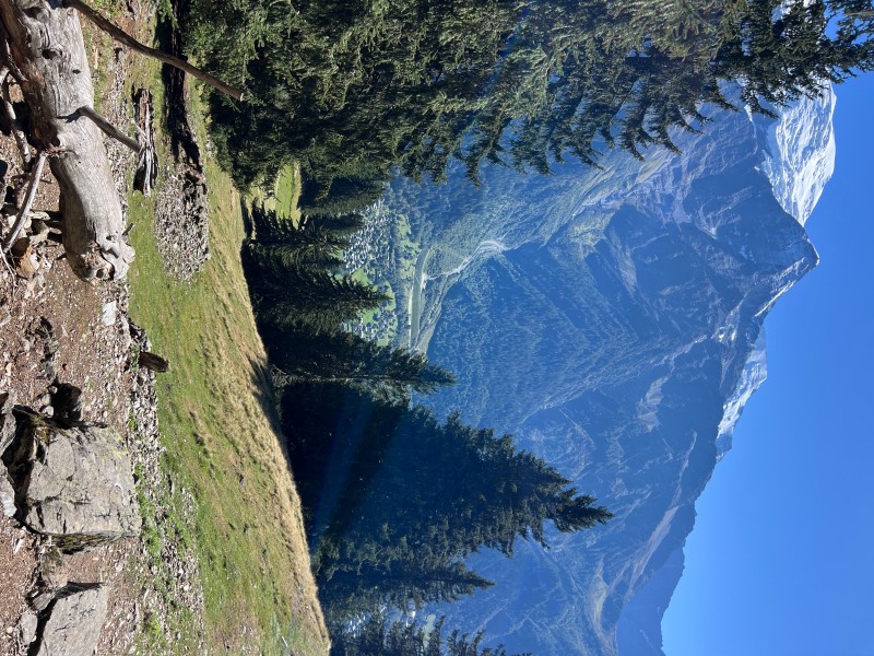 IMG_8293.jpeg