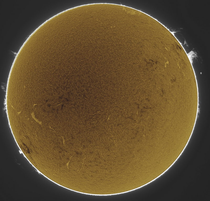 001---2026-08-20-0847_2-U-G-Sun_Halpha_ZWO ASI585MM_Gain=138_Exposure=7.6ms_Gamma=51_2_Surface_22_Sharp20_B1.0_C0.0_S1_N1_SUN_INV(2).png