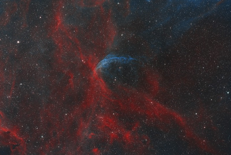 WR134-Micmac.jpg