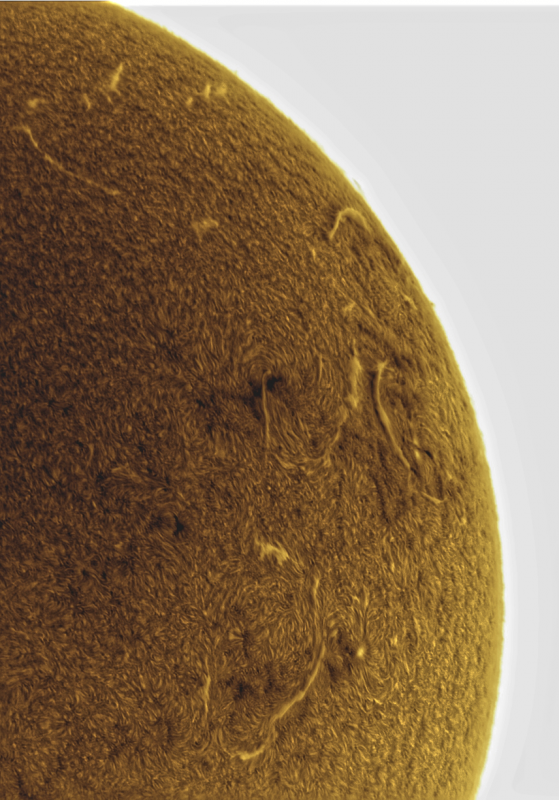 2026-09-15-1118_8-U-G-Sun_Halpha_ZWO ASI585MM_Gain=225_Exposure=4.8ms_Gamma=31_17_Surface_20_Sharp15_B38.0_C0.2_S1_N1_SUN_INV.png