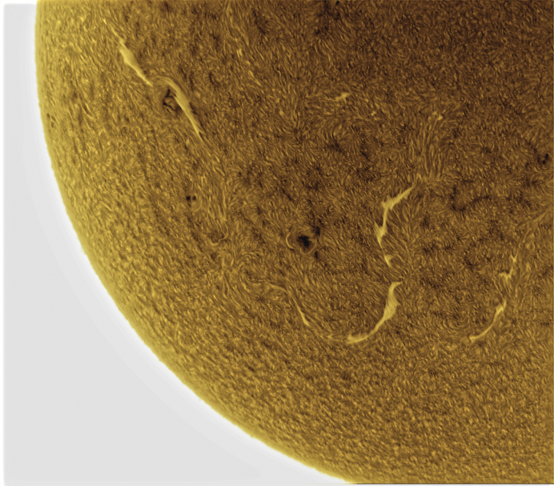 2026-09-15-1119_9-U-G-Sun_Halpha_ZWO ASI585MM_Gain=216_Exposure=4.8ms_Gamma=31_18_Surface_20_Sharp25_B22.0_C0.3_S1_N1_SUN_INV.png