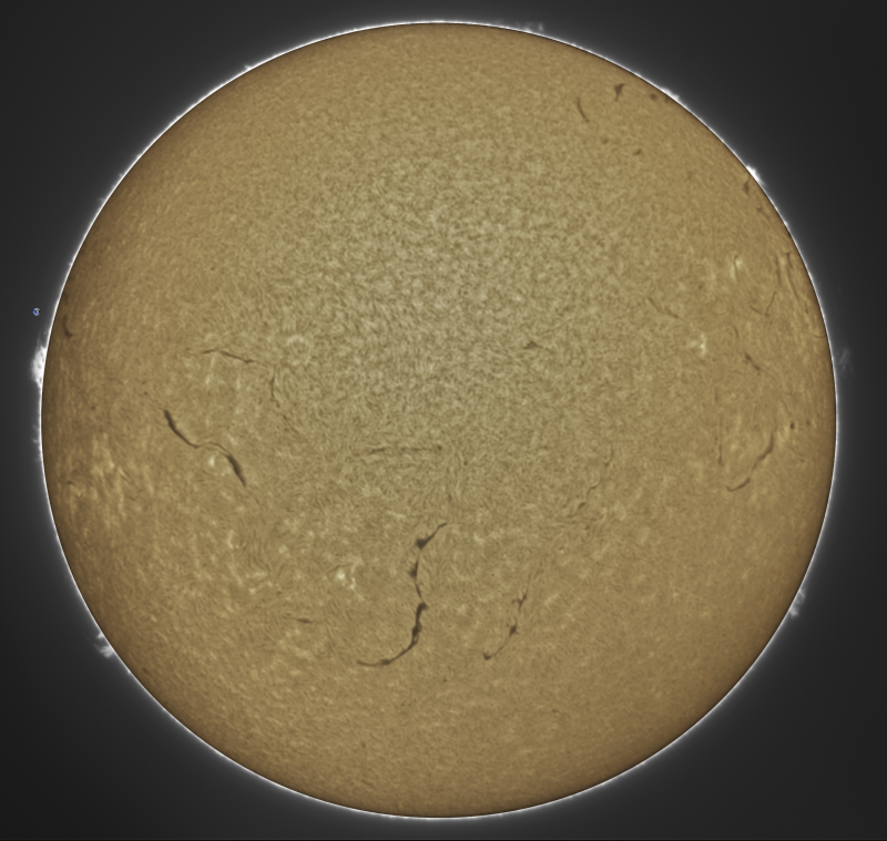2026-09-16-0803_8-U-G-Sun_Halpha_ZWO ASI585MM_Gain=197_Exposure=4.8ms_Gamma=51_1_Surface_23.fit-ImPPG.01-Pix.02.png