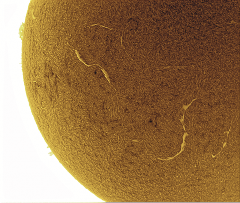 2026-09-16-0809_9-U-G-Sun_Halpha_ZWO ASI585MM_Gain=164_Exposure=7.6ms_Gamma=50_4_Surface_23_Sharp44_B69.0_C0.9_S1_N1_SUN_INV.png