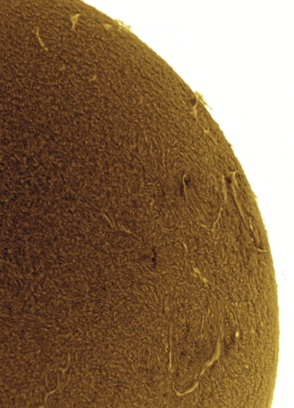 2026-09-16-0810_7-U-G-Sun_Halpha_ZWO ASI585MM_Gain=164_Exposure=7.6ms_Gamma=50_5_Surface_20_Sharp56_B49.0_C1.0_S1_N1_SUN_INV.png