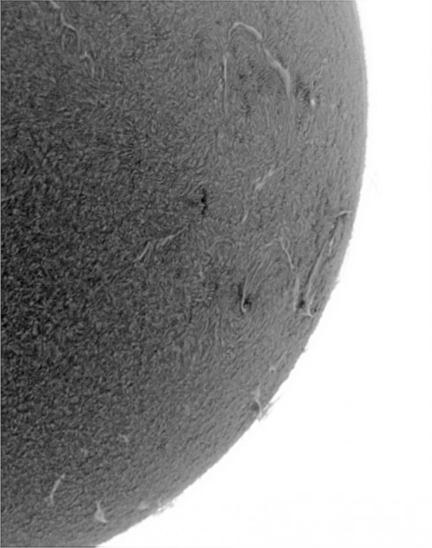 2026-09-16-0810_7-U-G-Sun_Halpha_ZWO ASI585MM_Gain=164_Exposure=7.6ms_Gamma=50_5_Surface_20_Sharp48_B1.0_C1.0_S1_N1_INV.jpg
