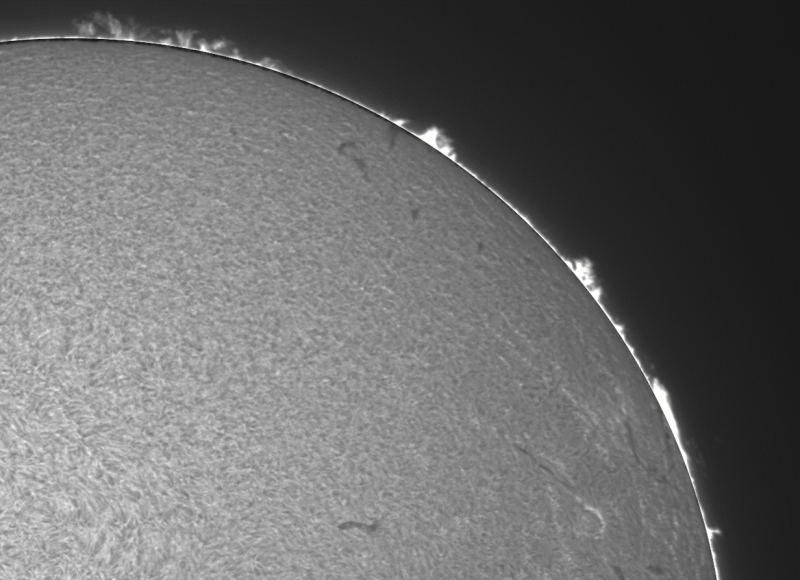 FUSION 03 - 2026-09-17-0844_8-U-G-Sun_Halpha_ZWO ASI585MM_Gain=200_Exposure=5.0ms_Gamma=62_3_Surface_20_Sharp30_B1.0_C1.1_S1_N1.png