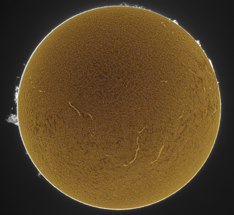 Fusion01-2026-09-17-0844_8-U-G-Sun_Halpha_ZWO ASI585MM_Gain=200_Exposure=5.0ms_Gamma=62_3_Surface_20_Sharp30_B16.0_C0.4_S1_N1_SUN_INV.png